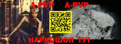 герыч Кингисепп