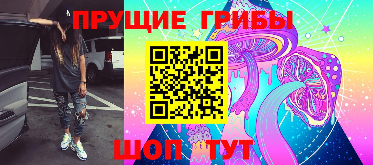 Галлюциногенные грибы Cubensis Буйнакск