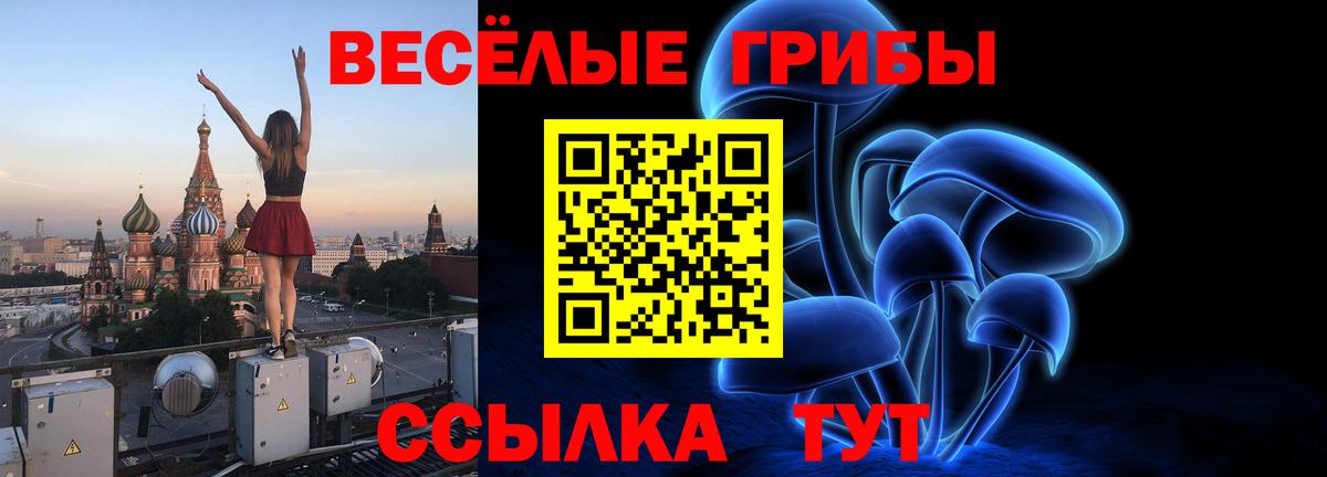 Псилоцибиновые грибы мухоморы  Вход с VPN  Буйнакск 